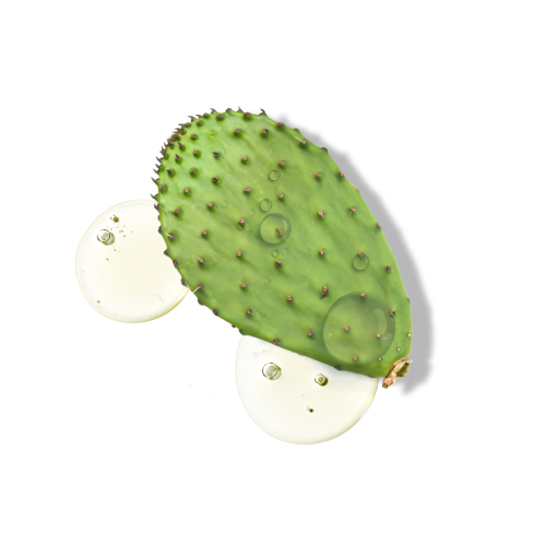 Pure Match Liquid Concealer 4N