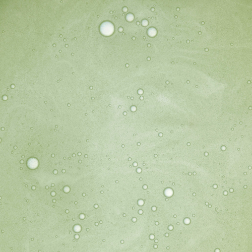 The Clarity Concentrate